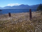 Vista desde Cementerio de Mejillones